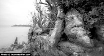 les Rochers Sculptés de Rothéneuf